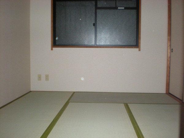 サンマール平野