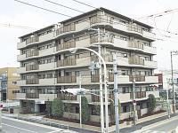 サンマール平野