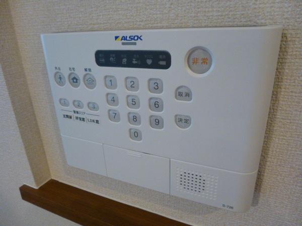 ハイムマモリ