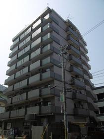 エルエムヒルズ平野