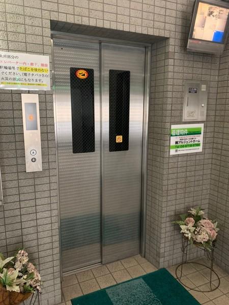 エルエムヒルズ平野