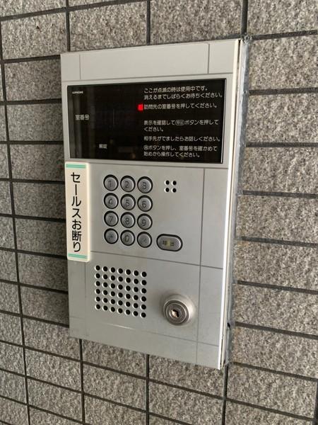 エルエムヒルズ平野