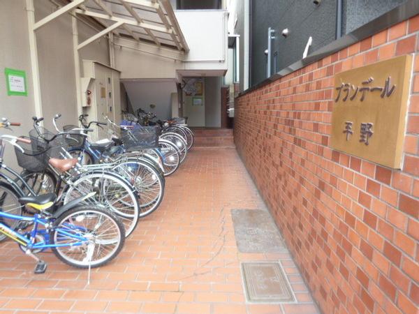 ブランデール平野