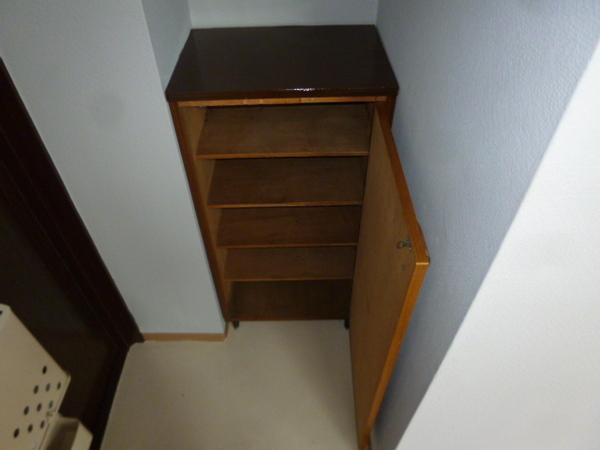 ブランデール平野