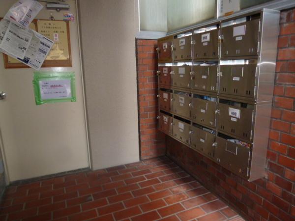 ブランデール平野