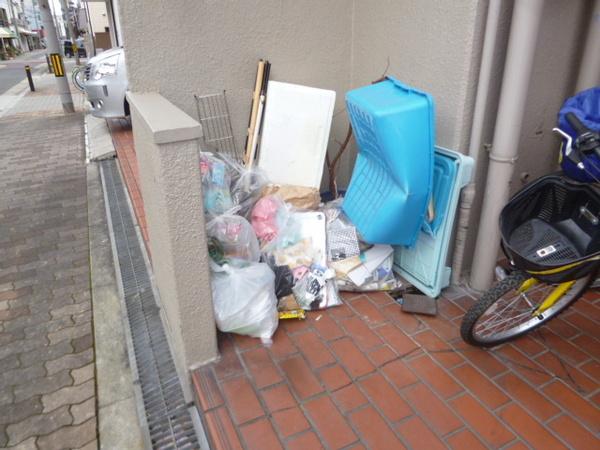 ブランデール平野