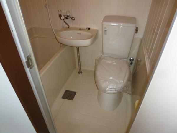 ブランデール平野