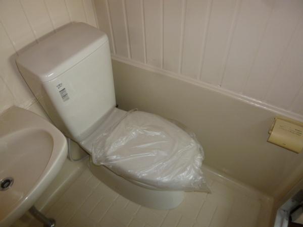 ブランデール平野