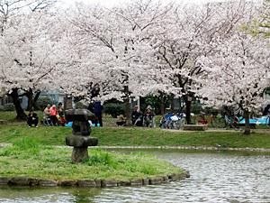 メゾンドOSAKA(住吉公園)