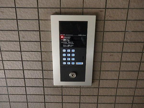 ワイレア