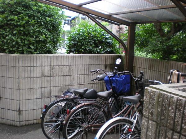 マリワール川辺
