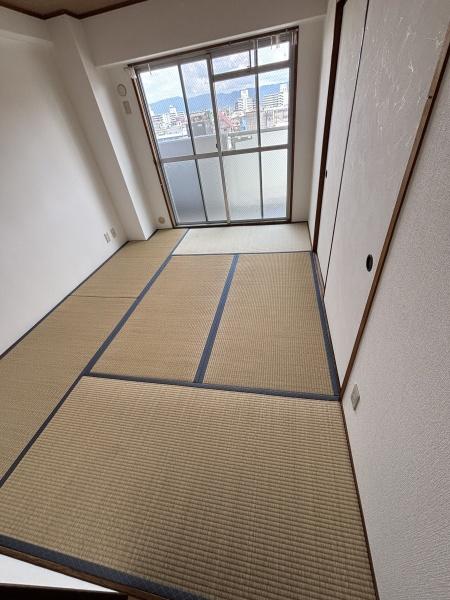 セグレスト平野