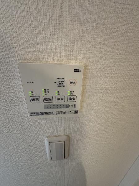 バルーンフラワーＫ