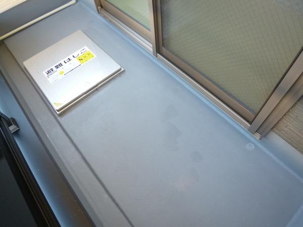 シーカルアアリモト