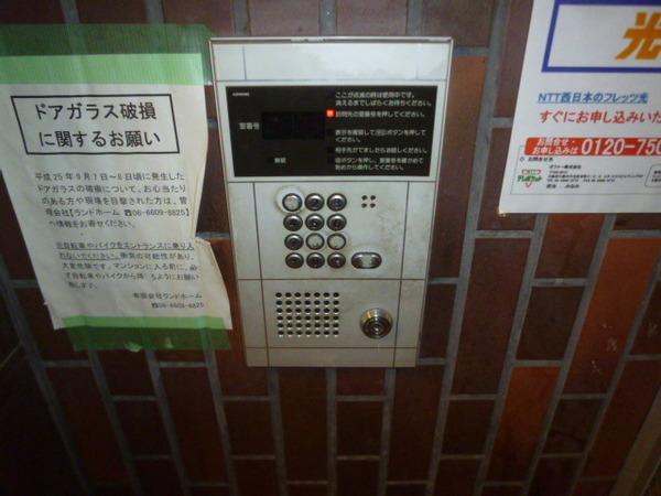 グレース平野