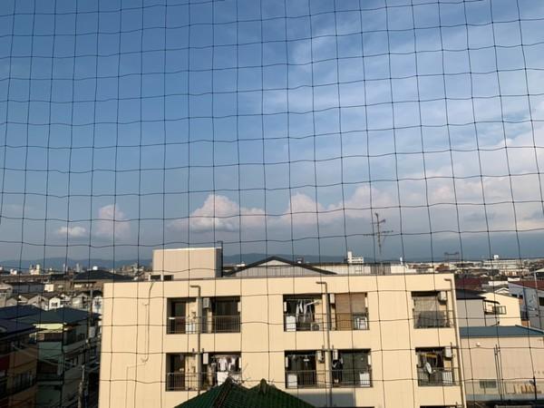 ルームハイツ5