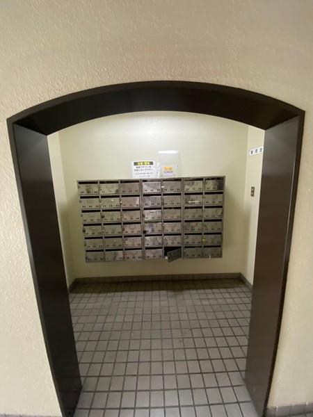 ウィンディ田中