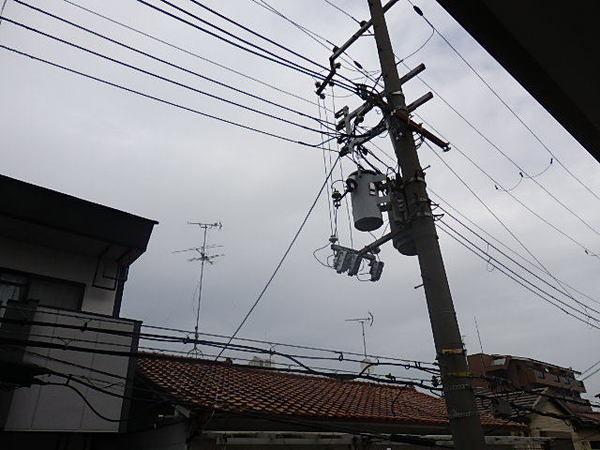 FaseciaENIF
