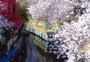 LaCASA駒川中野(今川緑道)