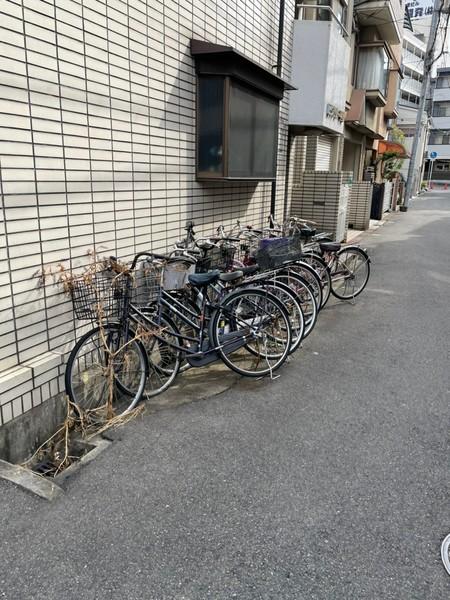 ビクトリー平野