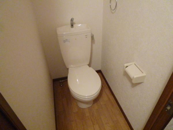 アンプルールクラージュヴィーヴル