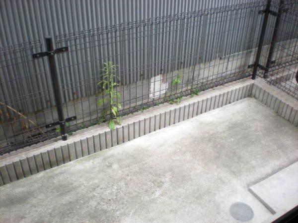 スカイブルーハウス