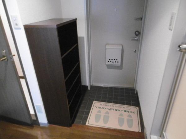 ラピタ