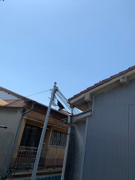 住道矢田1丁目テラス