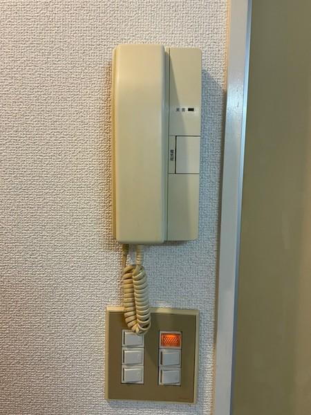 グレース平野