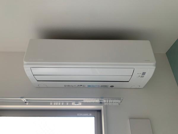 エフアセシアアシスト