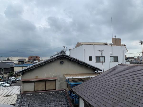 FaseciaBLAST
