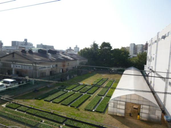 アネックス平野