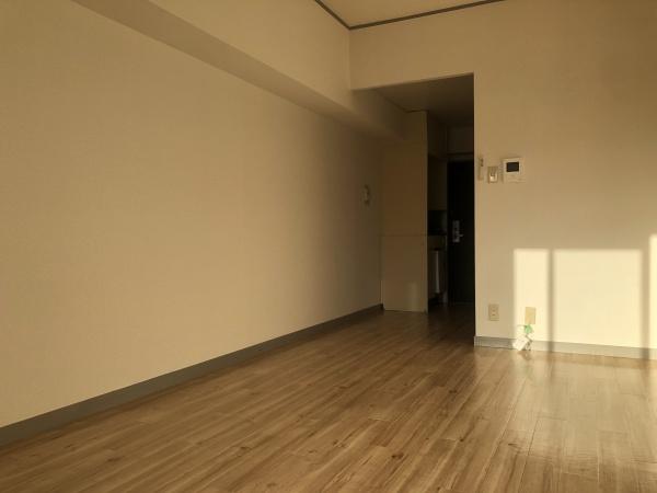 アンヘルム杭全