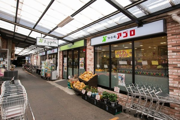 大阪市生野区生野西４丁目のマンション(食品館アプロ源ケ橋店)