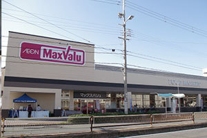 大阪市平野区背戸口1丁目の貸家(Maxvalu駒川中野店)