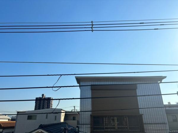 グリーンコート鷹合
