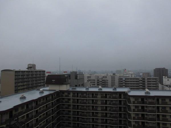 シェモア平野
