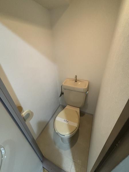 グレーシィ矢田