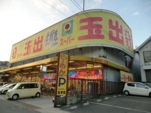 ビレッジハウス青山(スーパー玉出八尾店)