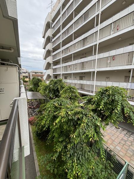 大阪市東住吉区針中野２丁目のマンション