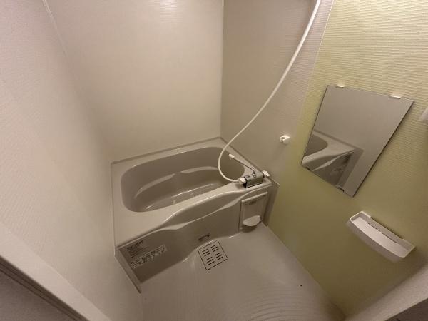 アパート鶏冠木