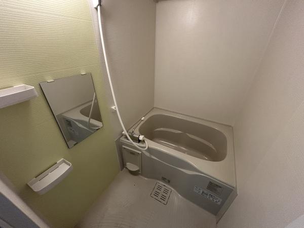 アパート鶏冠木