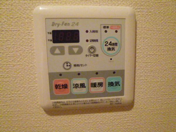 ディットビージュー