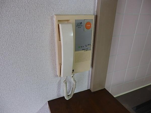 ふれあぷらんどーる