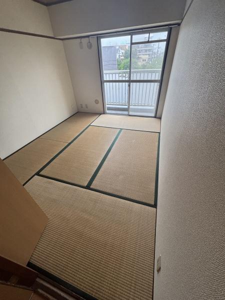 ドミール春光