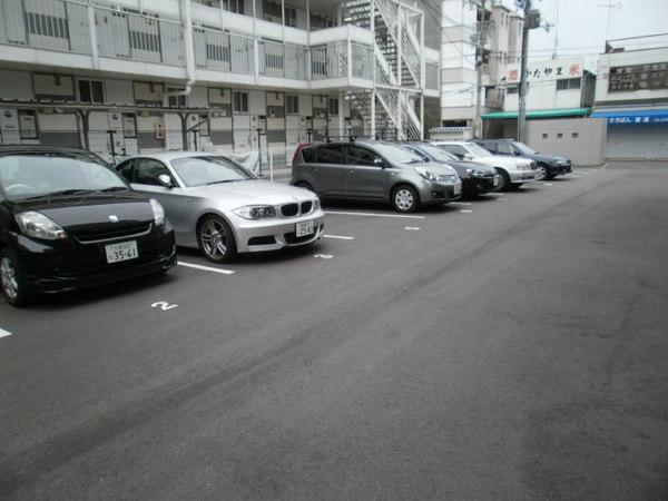 ドルフシィア