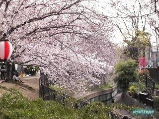 大阪市東住吉区中野1丁目のマンション(今川公園)