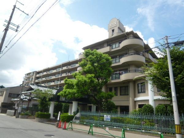 ラ・ティーダ平野