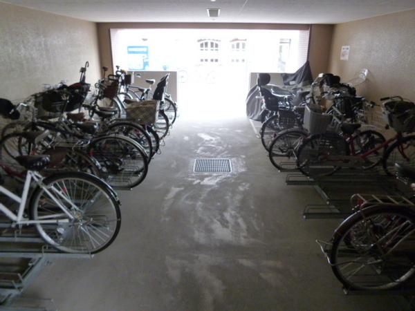 マルーン平野