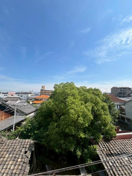 フジパレス加美駅南Ⅲ番館
